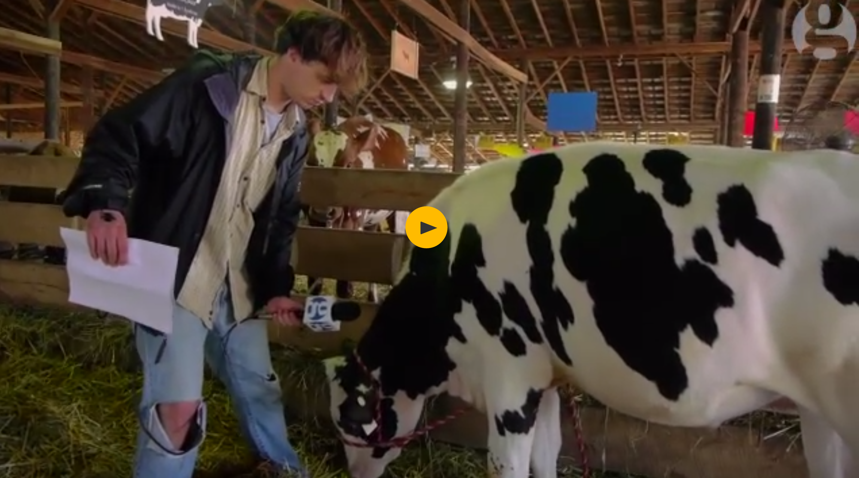 Moo or False? Cows Are Bigger Drivers of Climate Change Than Cars? (Hilarious Climate Video)