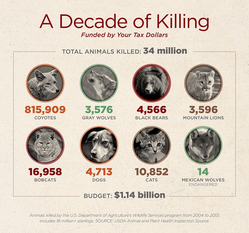 "Wildlife Disservices" Graph -- Humane Society