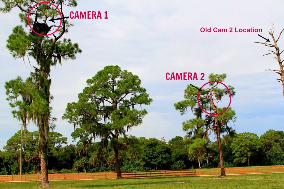 Southwest Florida Eagle Camera (SWFEC) Project -- Camera Positions