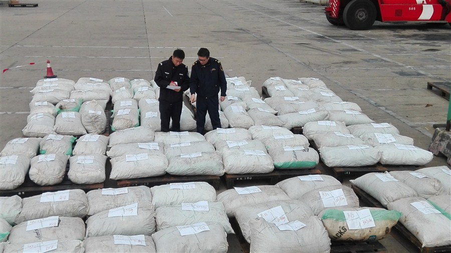 Chinese Authorities Seize Three Tons of Pangolin Scales in Shanghai