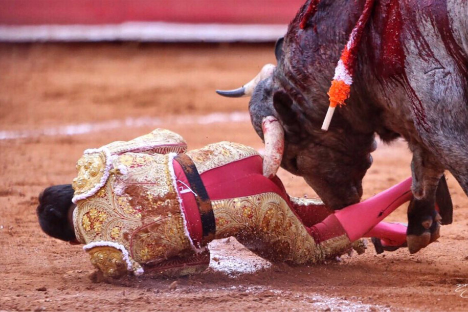 Up Yours! Revenge: Mexican Matador Gored up the Butt With 11 Inches of Bull Horn