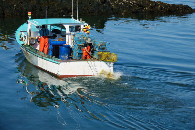Northeast U.S. Seafood Industry in Jeopardy From Climate-Driven Ocean Warming, Acidification