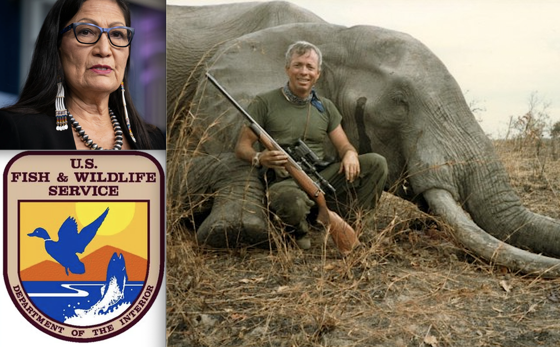 USFWS Issues 6 Elephant Trophy Permits; EnviroNews Asks Why; Interior Dept. Answers, Stonewalls Tough Questions